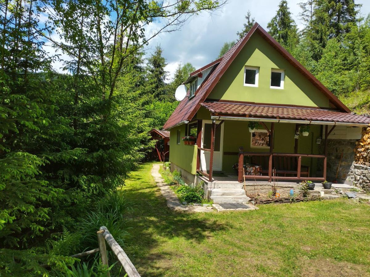 Green House Георгени Екстериор снимка